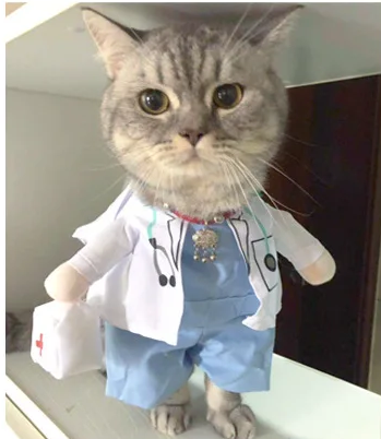 Costume Cosplay pour Chiens et Chats – Tenue de Fête 🐾🎉