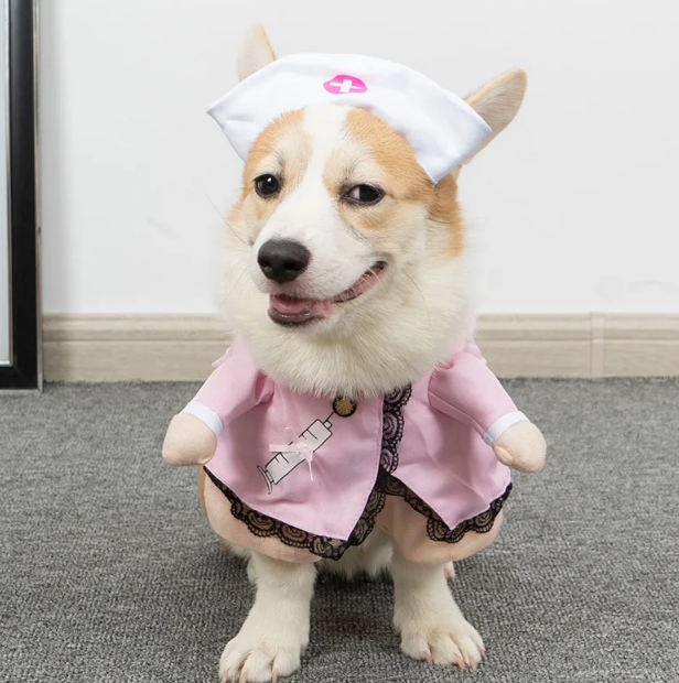 Costume Cosplay pour Chiens et Chats – Tenue de Fête 🐾🎉