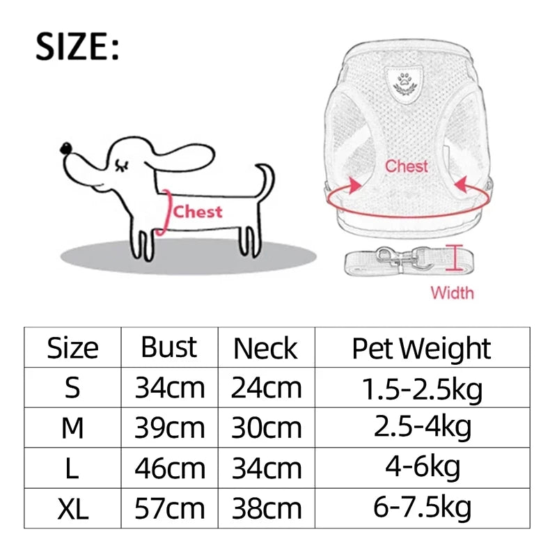 Harnais pour Chiot – Léger et Pratique 🐶✨