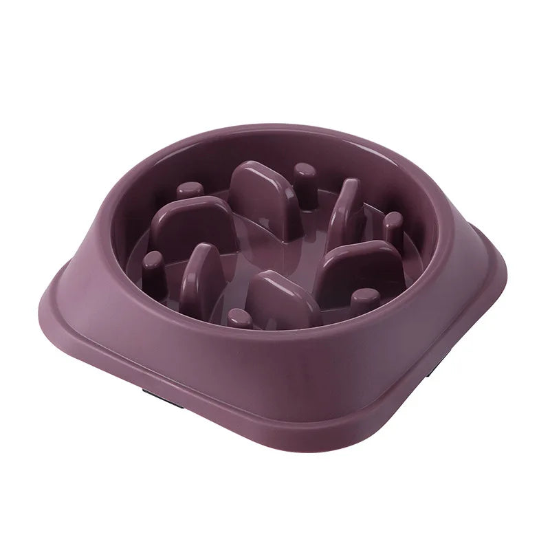 🐾 Gamelle Anti-Glouton pour Chiens 🐶