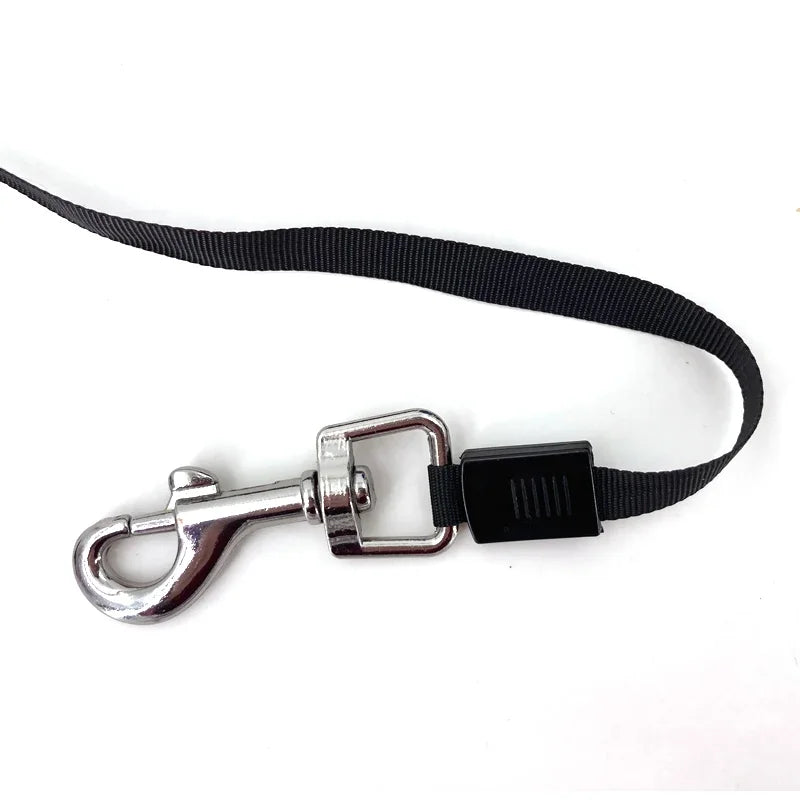 🐾 Laisse Rétractable pour Chiens