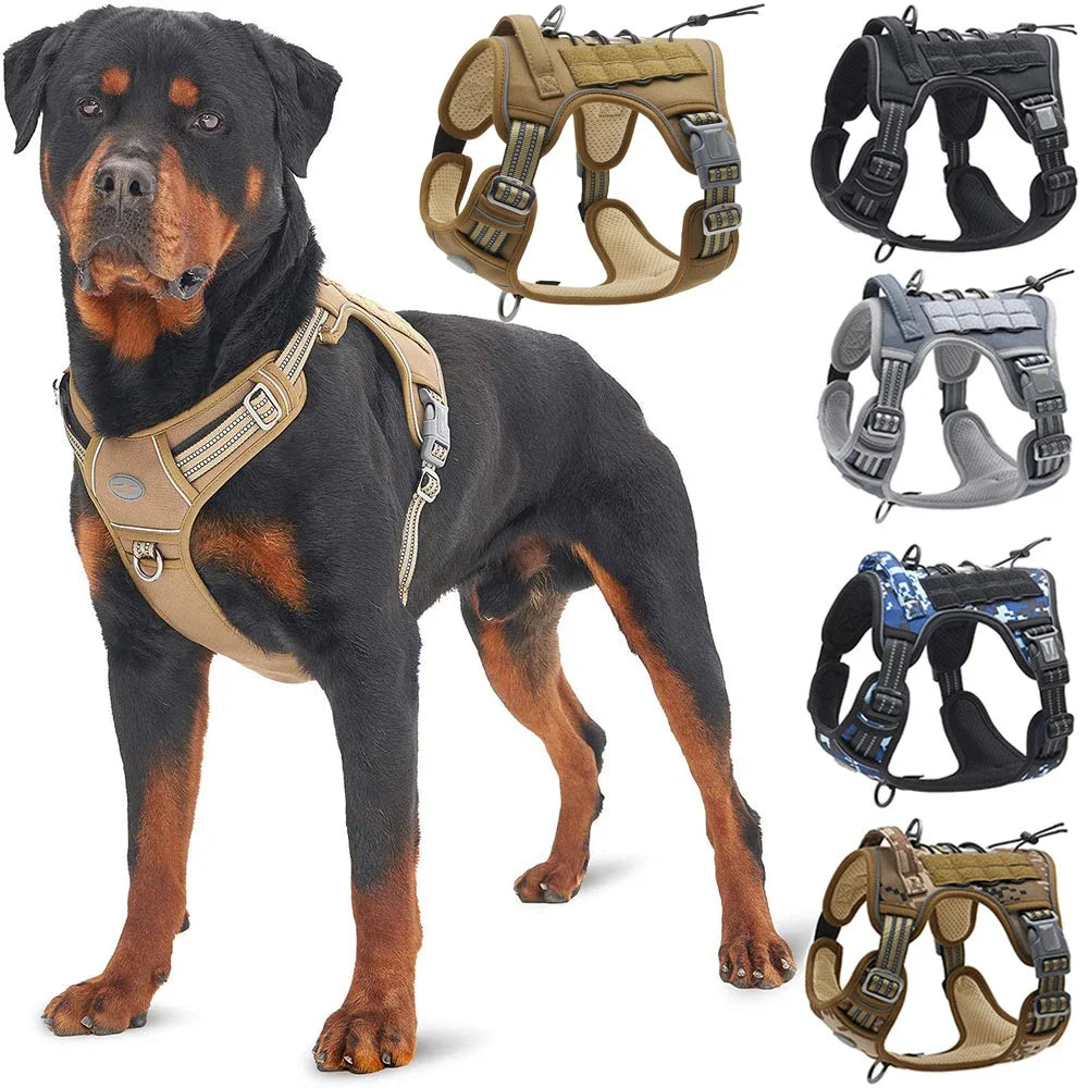 Harnais pour Chien – Sécurité & Confort 🐶✨