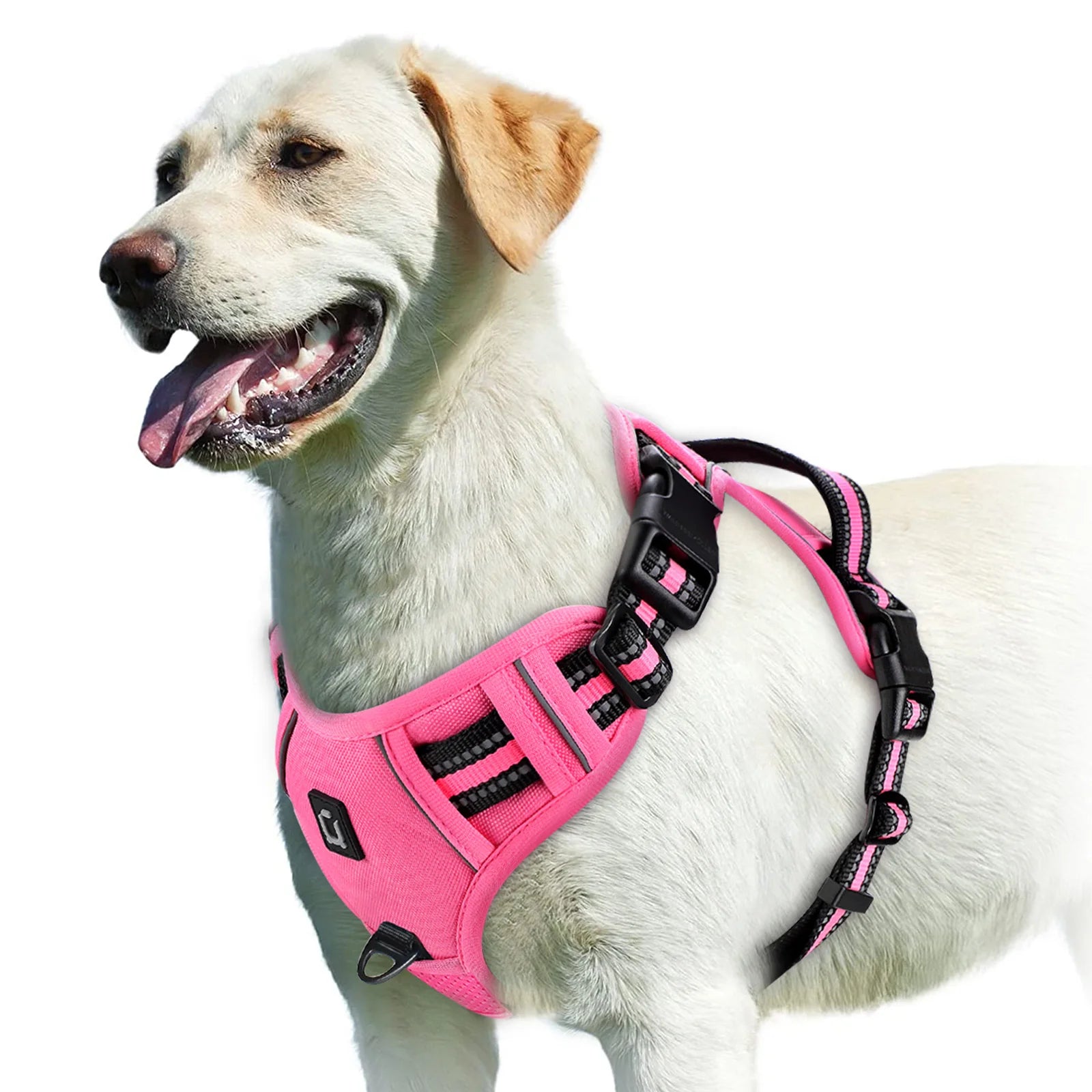 Harnais pour Chien – Sécurité et Confort 🐾