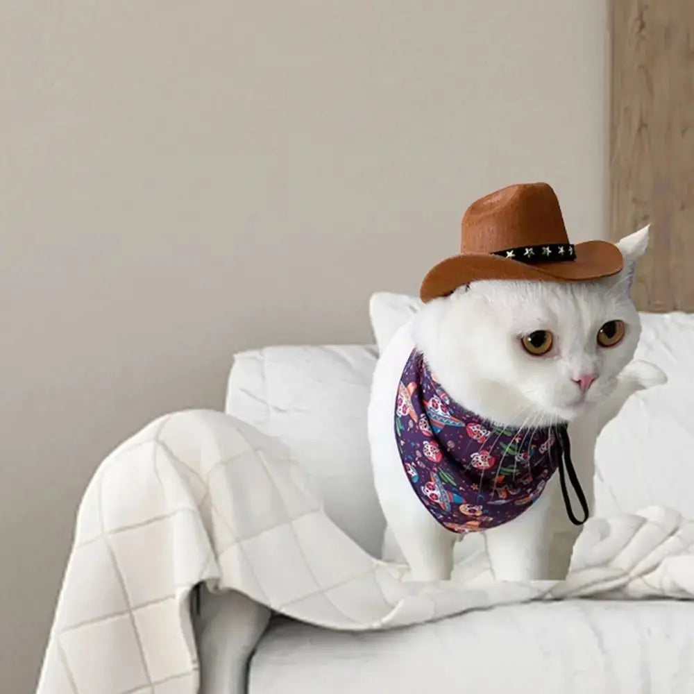 🤠 Chapeau de Cowboy pour Animaux 🐶🐱