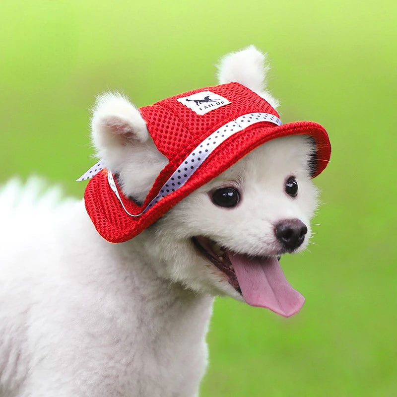 🧢 Chapeau pour Chiens 🐶
