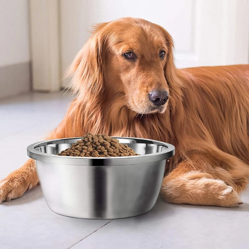 Gamelle en Acier Inoxydable pour Chien 🐶