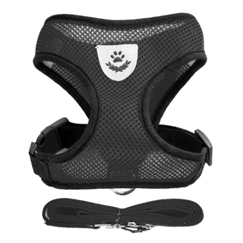 Harnais pour Chiot – Léger et Pratique 🐶✨