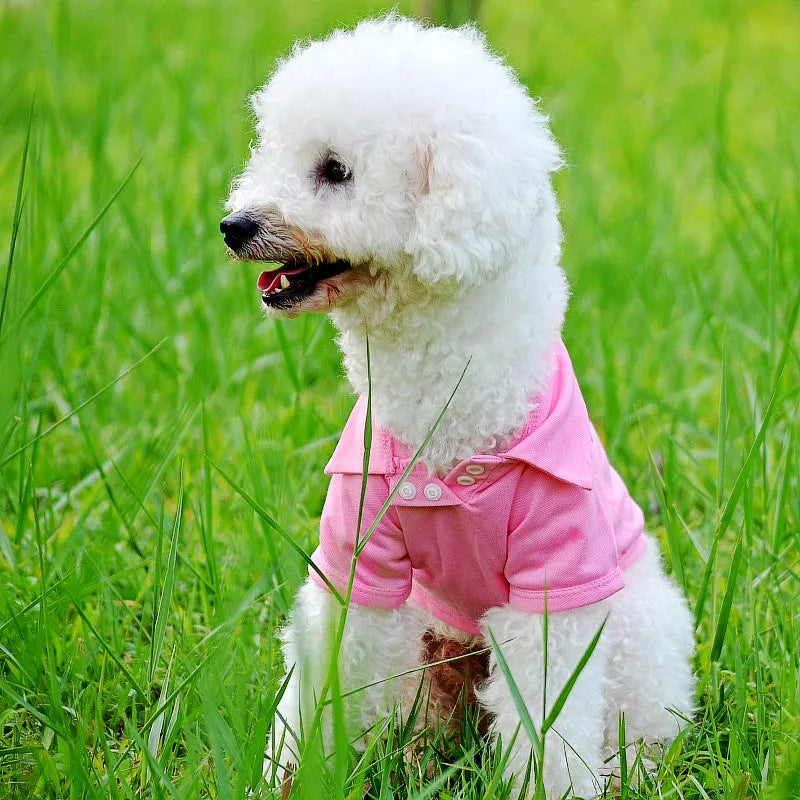 👕 Polo d’Été de Luxe pour Petits Chiens & Chats 🐶🐱
