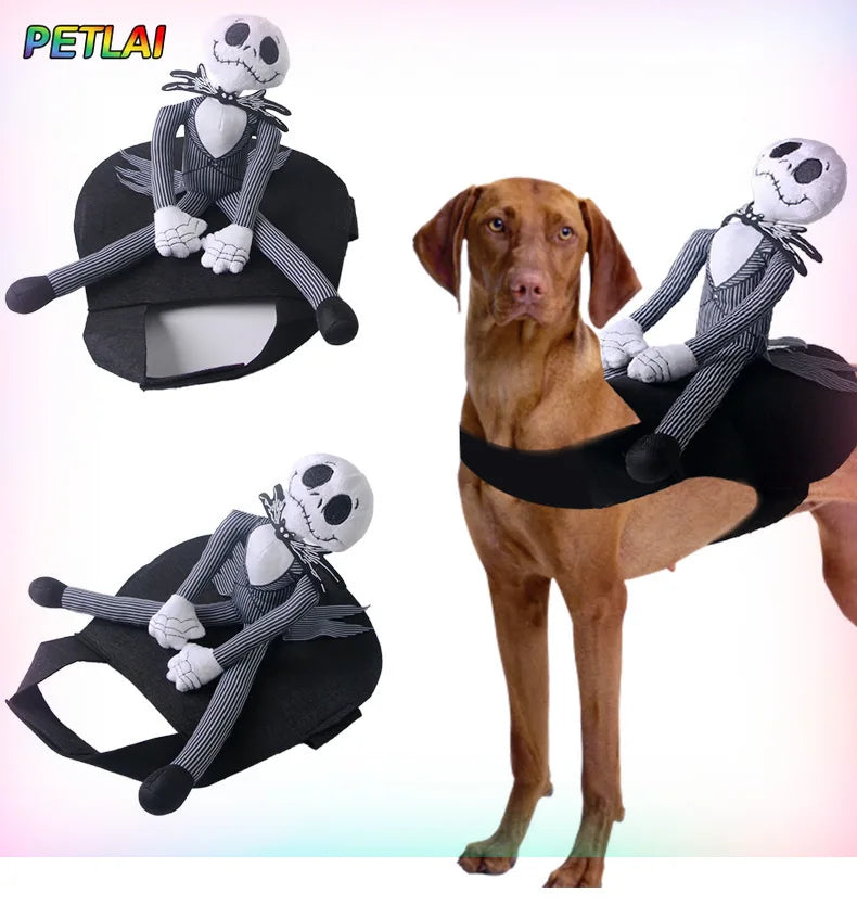 Costume Chevalier pour Chiens & Chats – Halloween et Fêtes 🐴🎃