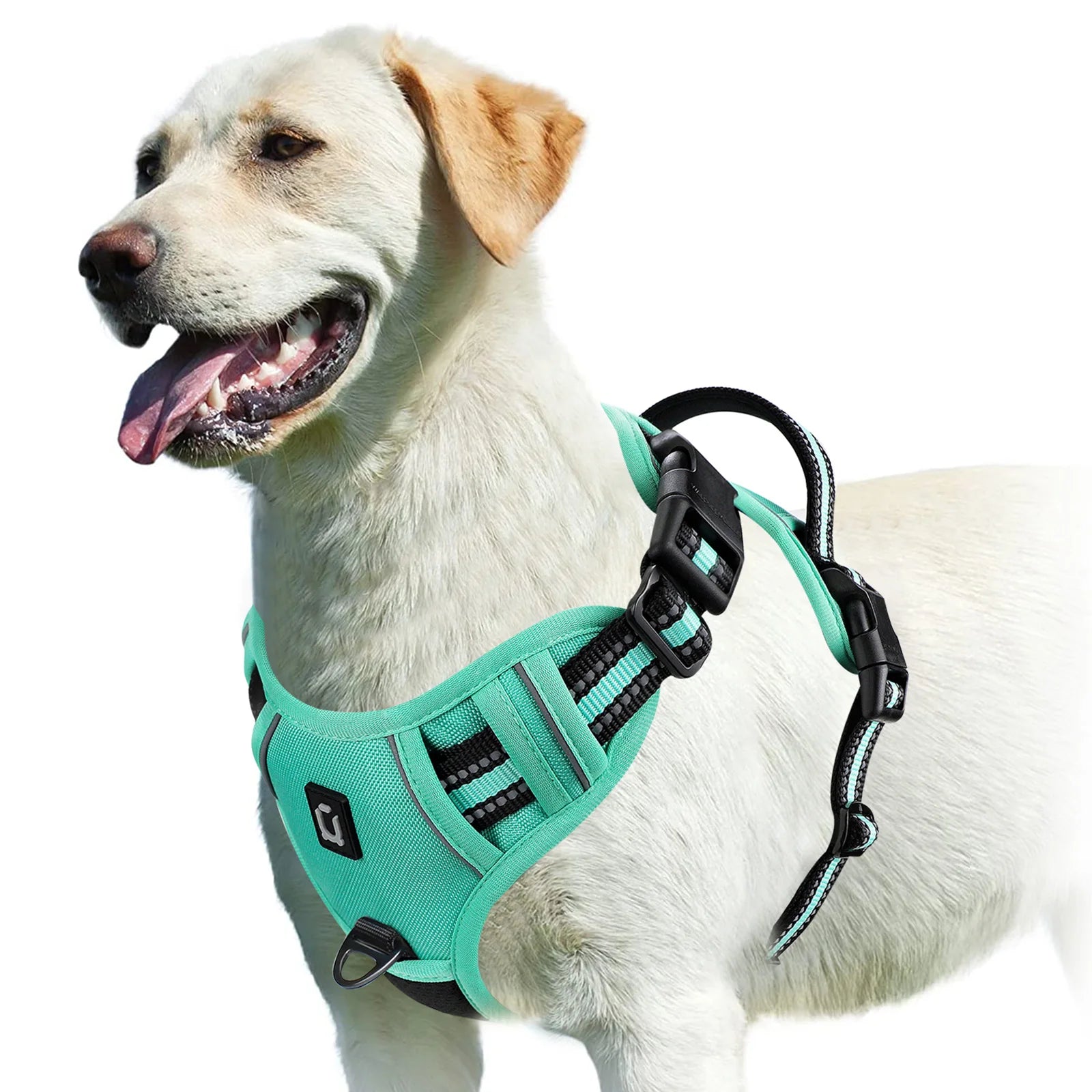 Harnais pour Chien – Sécurité et Confort 🐾