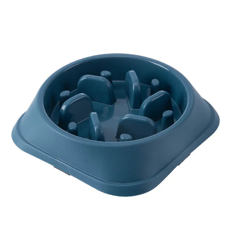 🐾 Gamelle Anti-Glouton pour Chiens 🐶