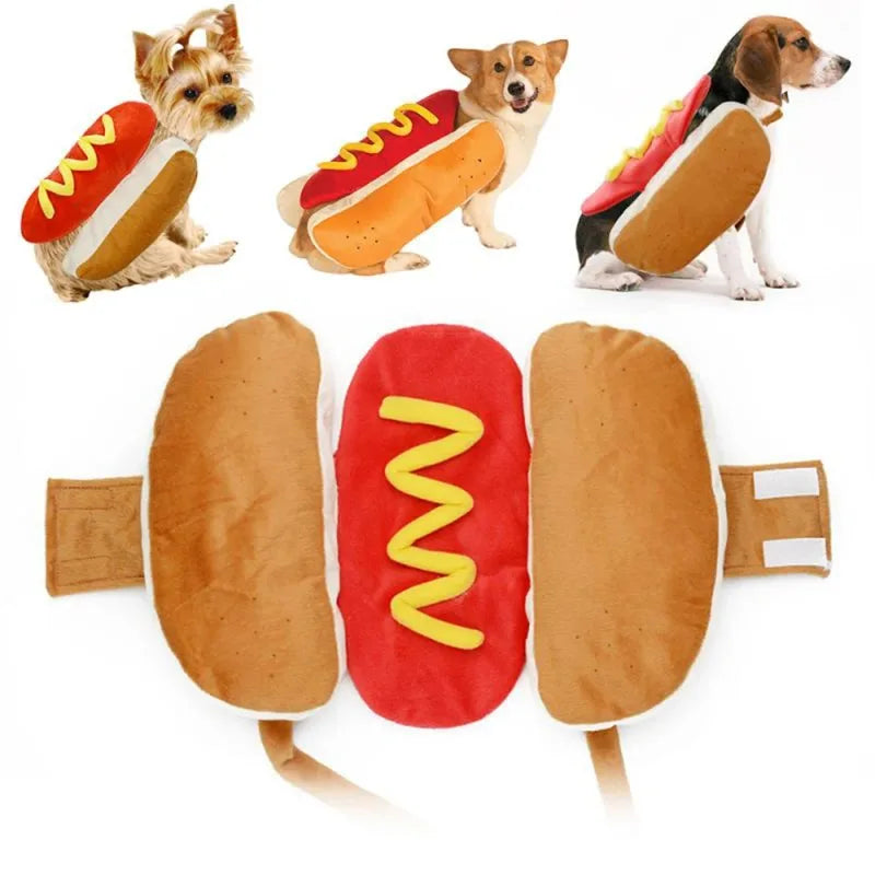 Costume Hot Dog pour Chien – Chaud et Amusant 🌭🐶