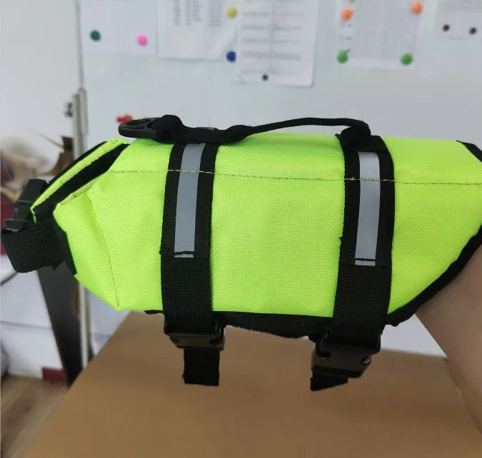 ☀️ Vêtements d’Été pour Chiens 🐶