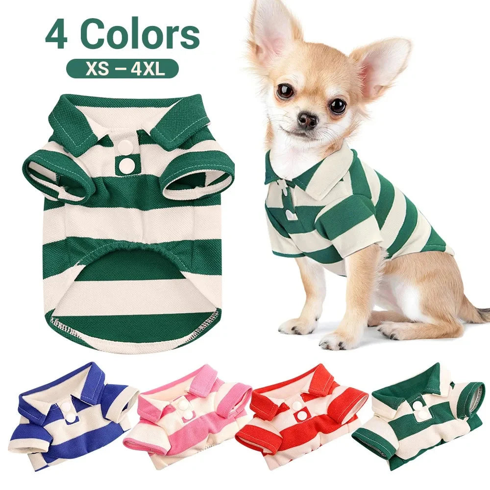 👕 T-shirt d’Été pour Chiens & Chats 🐶🐱