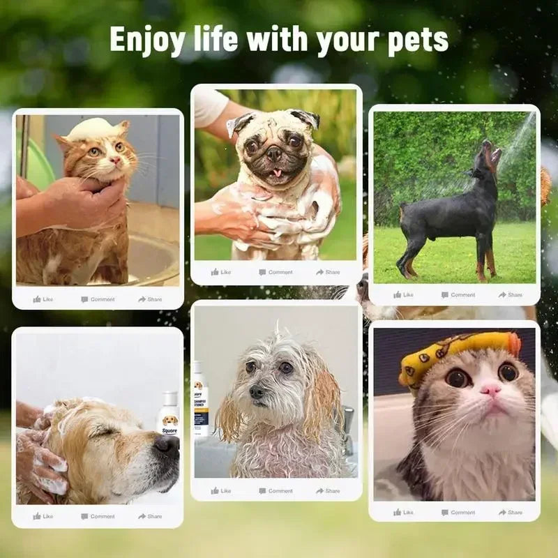 🛁 Shampooing & Après-Shampooing 2-en-1 pour Chiens et Chats