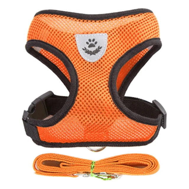 Harnais pour Chiot – Léger et Pratique 🐶✨