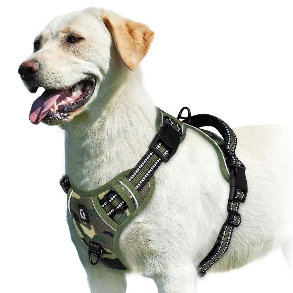 Harnais pour Chien – Sécurité et Confort 🐾