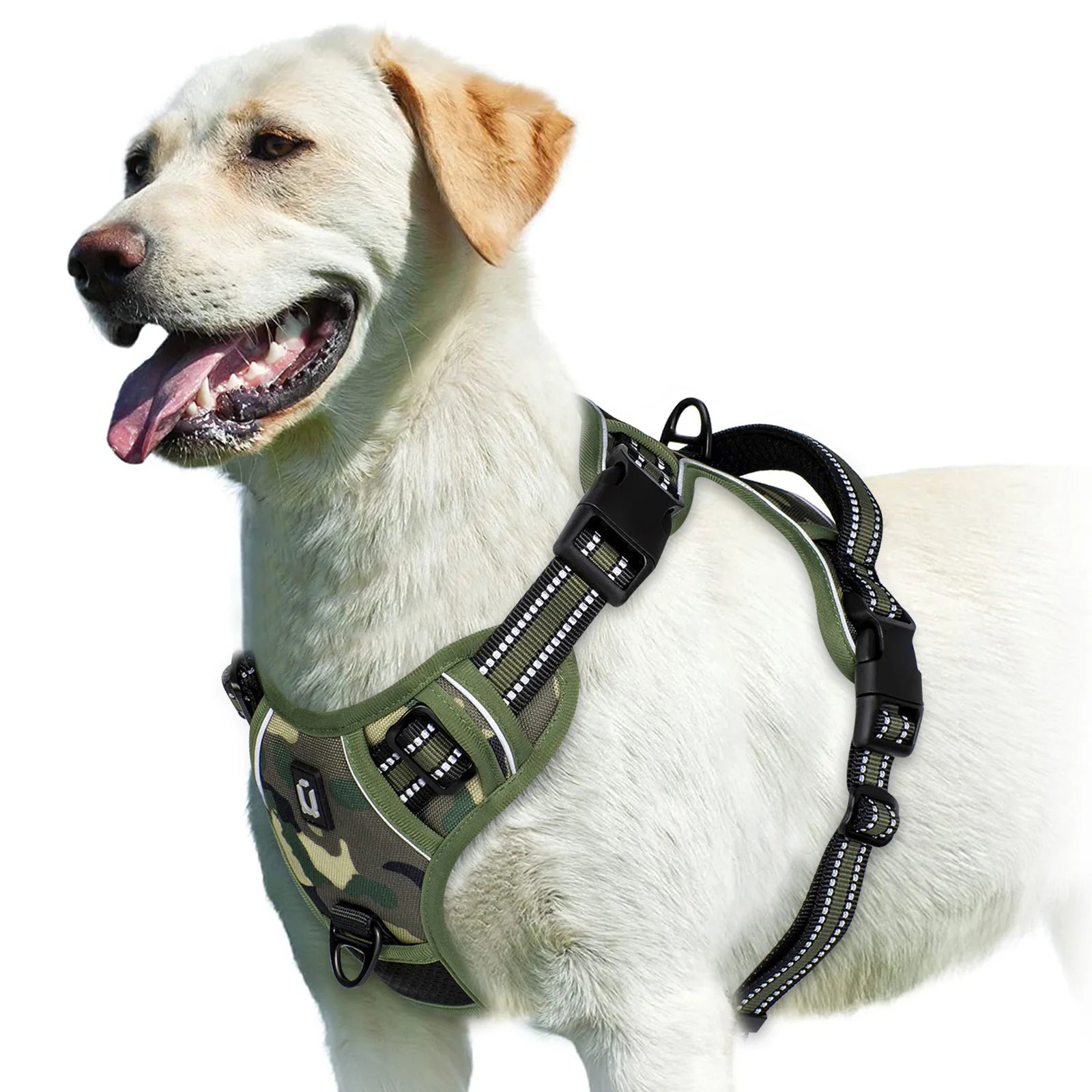 Harnais pour Chien – Sécurité et Confort 🐾