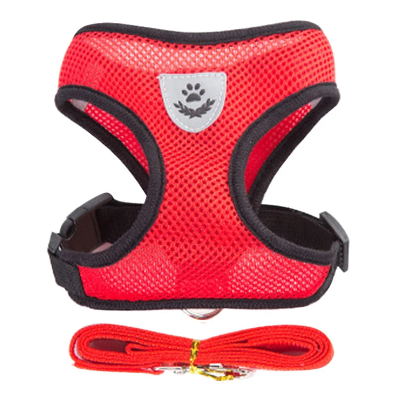 Harnais pour Chiot – Léger et Pratique 🐶✨