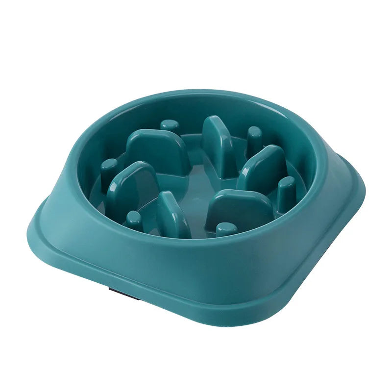 🐾 Gamelle Anti-Glouton pour Chiens 🐶