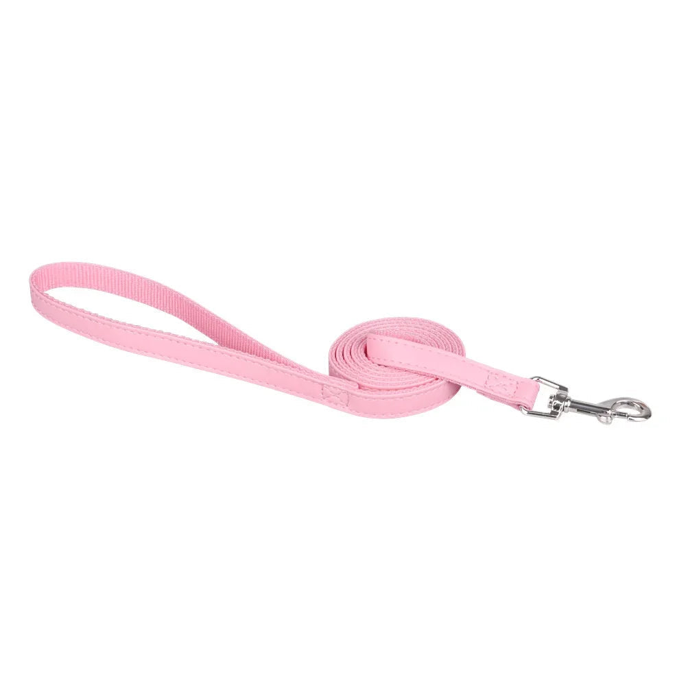 🦮 Laisse Classique pour Chiens