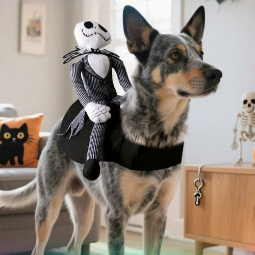 Costume Chevalier pour Chiens & Chats – Halloween et Fêtes 🐴🎃