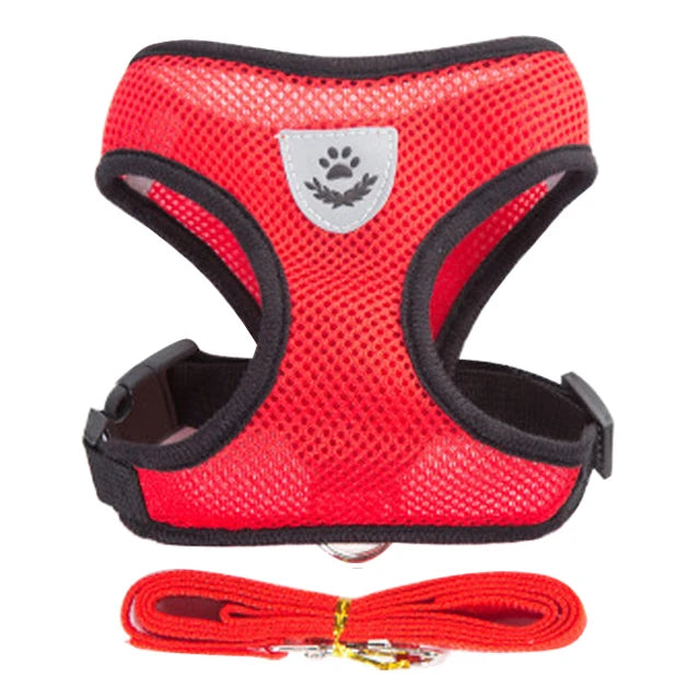Harnais pour Chiot – Léger et Pratique 🐶✨