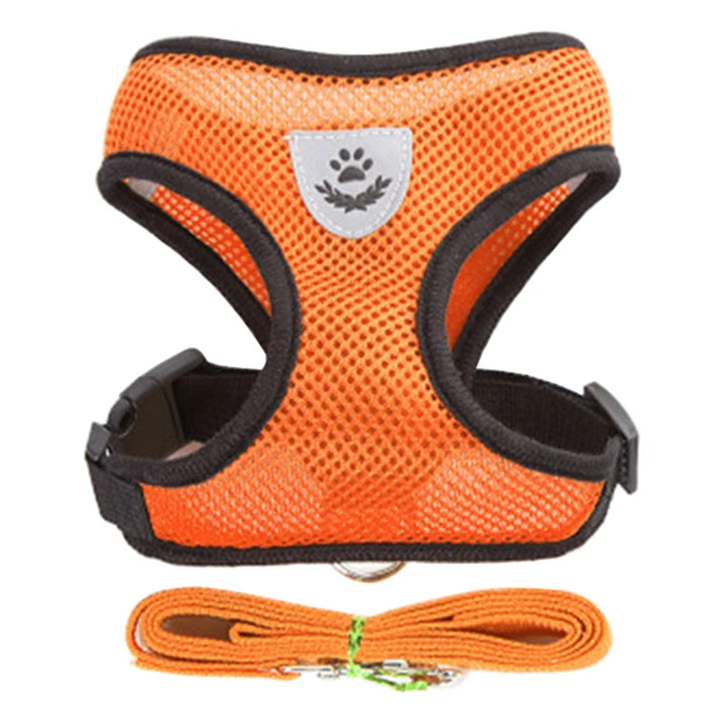 Harnais pour Chiot – Léger et Pratique 🐶✨