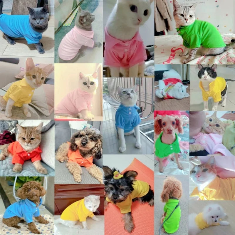 👕 Polo d’Été de Luxe pour Petits Chiens & Chats 🐶🐱