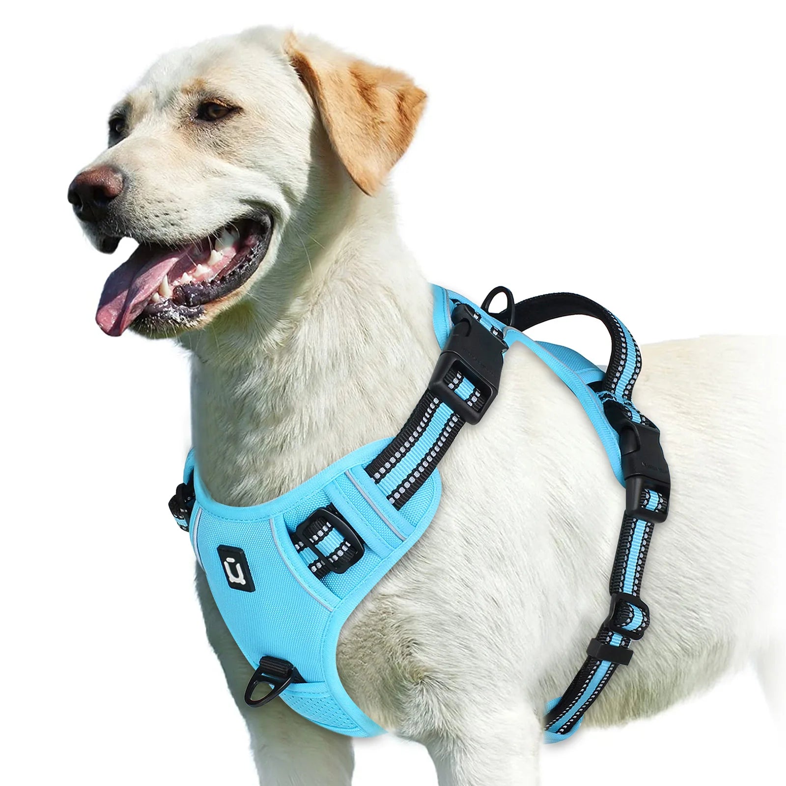 Harnais pour Chien – Sécurité et Confort 🐾
