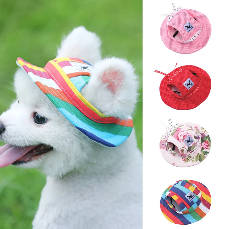 🧢 Chapeau pour Chiens 🐶