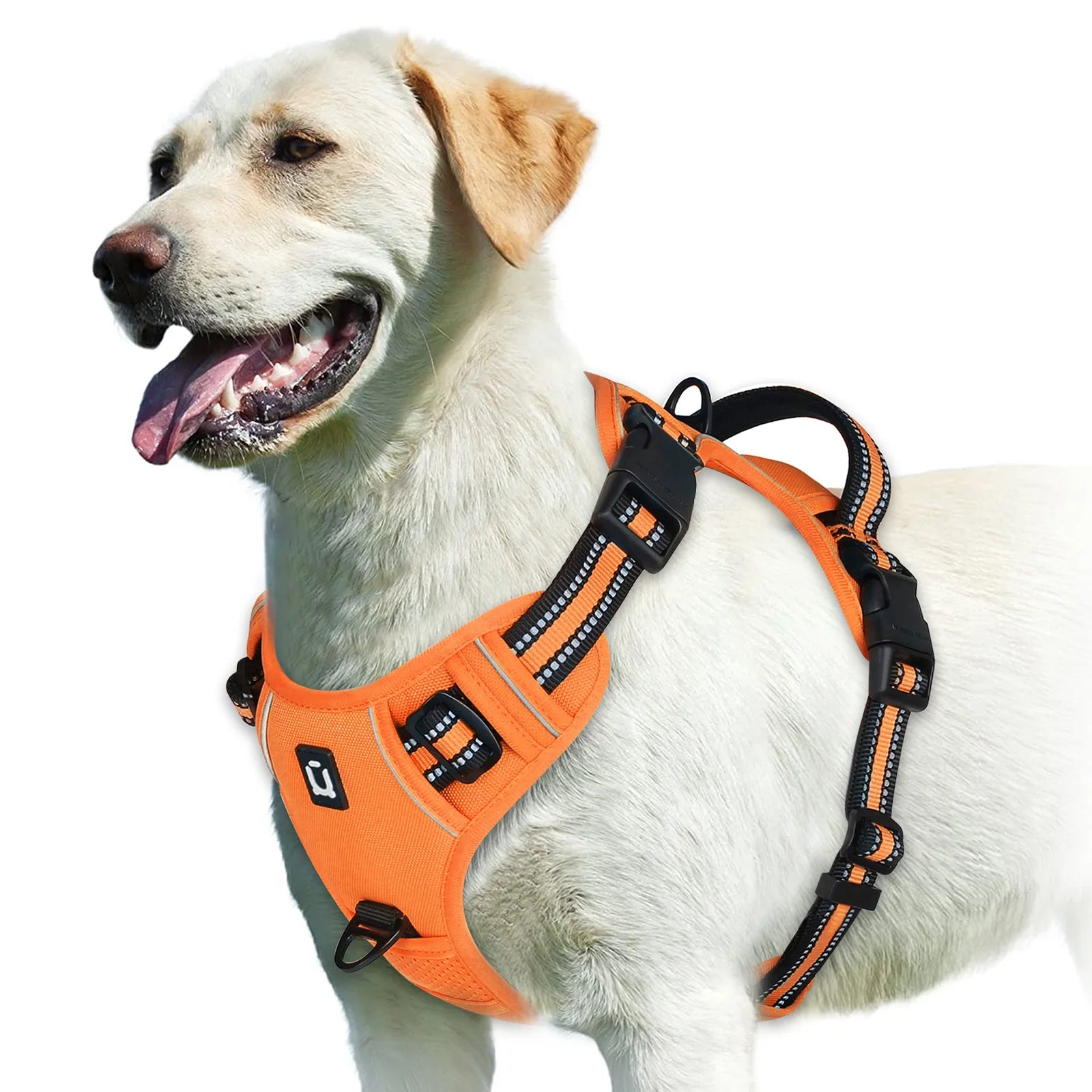 Harnais pour Chien – Sécurité et Confort 🐾