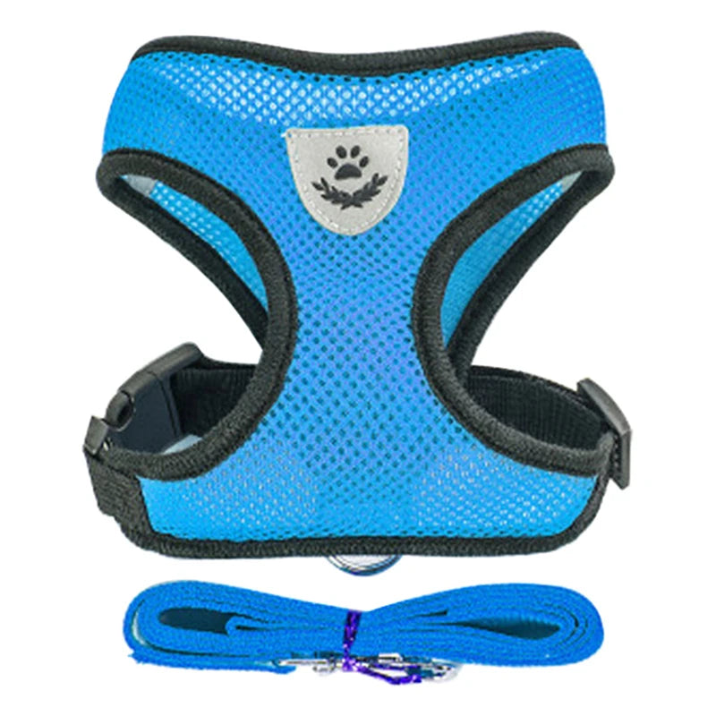 Harnais pour Chiot – Léger et Pratique 🐶✨