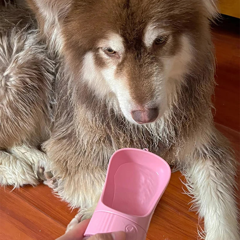 Bouteille d’Eau Portable 2-en-1 pour Chien – Gamelle et Distributeur 🐶💧