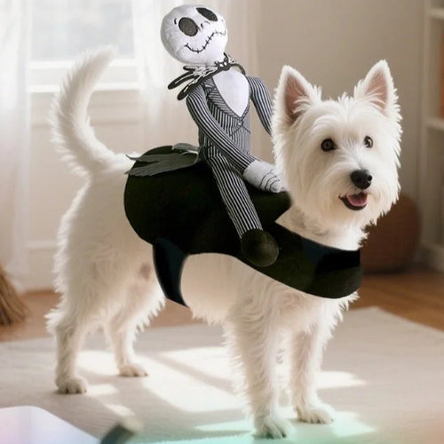 Costume Chevalier pour Chiens & Chats – Halloween et Fêtes 🐴🎃