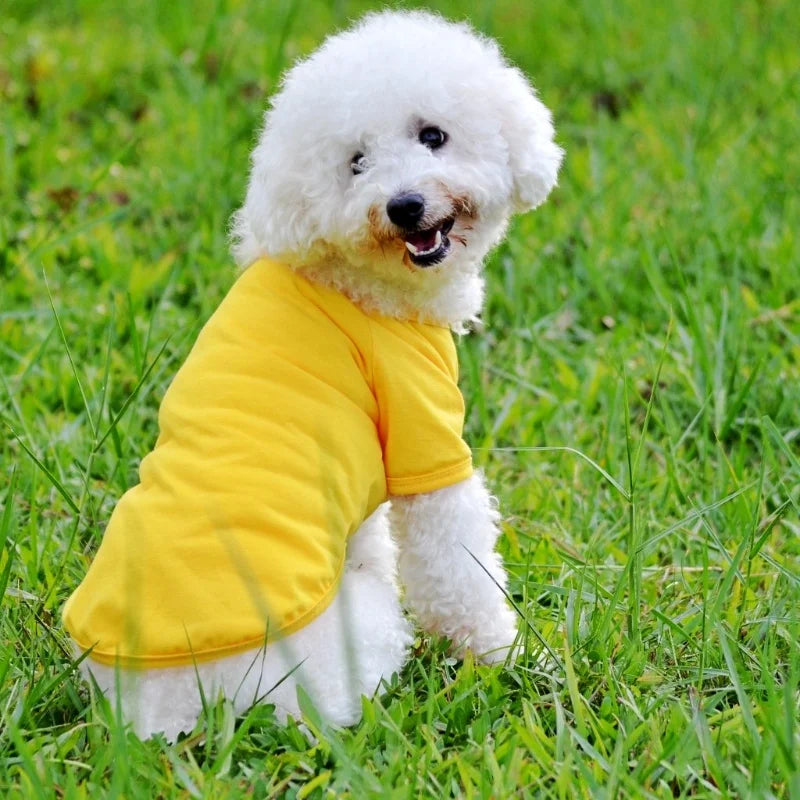 👕 Polo d’Été de Luxe pour Petits Chiens & Chats 🐶🐱