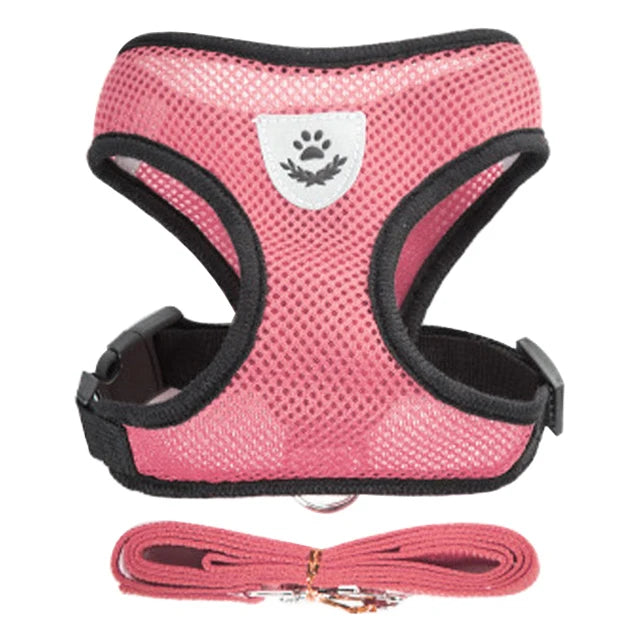 Harnais pour Chiot – Léger et Pratique 🐶✨