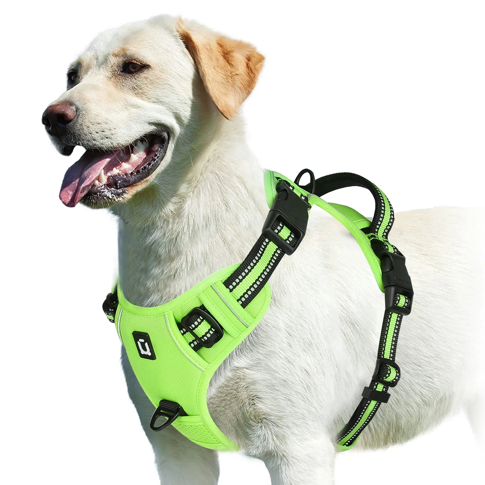 Harnais pour Chien – Sécurité et Confort 🐾