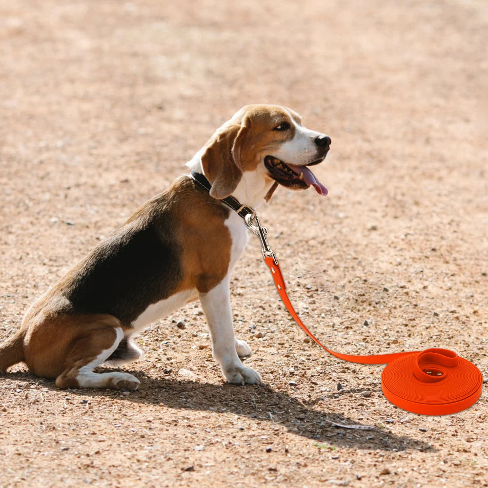 🐕 Laisse Étanche pour Chiens