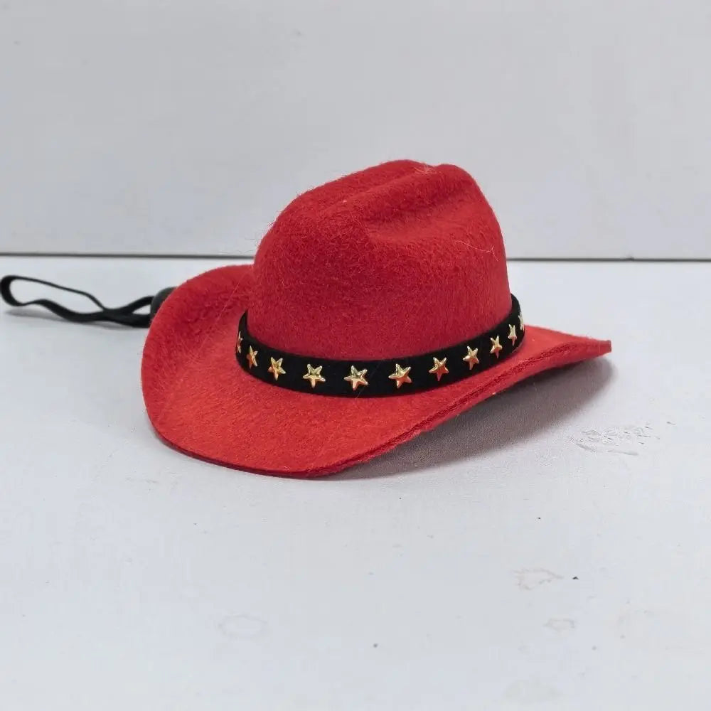 🤠 Chapeau de Cowboy pour Animaux 🐶🐱