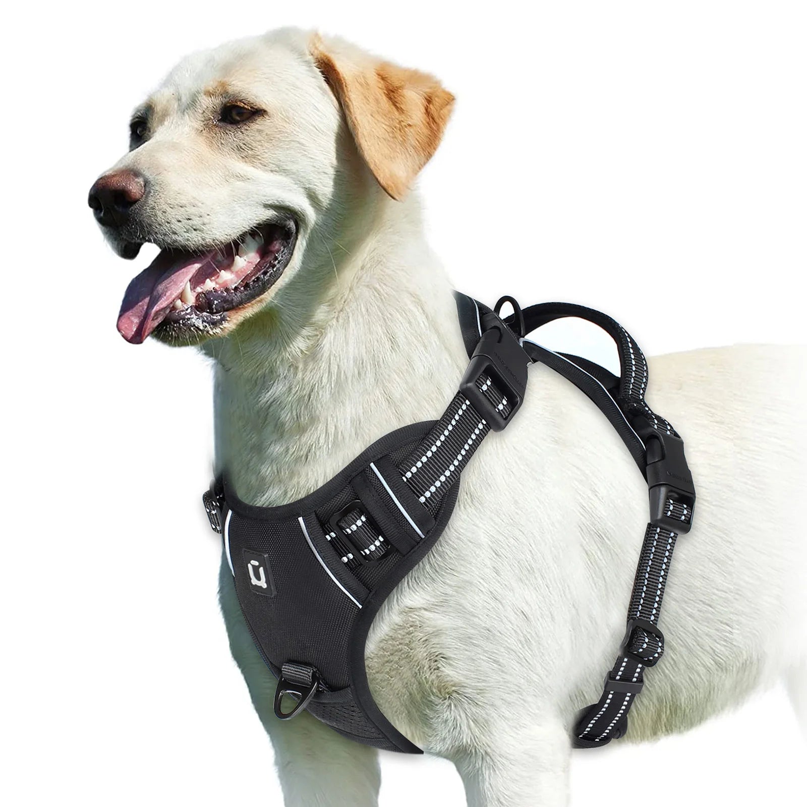 Harnais pour Chien – Sécurité et Confort 🐾