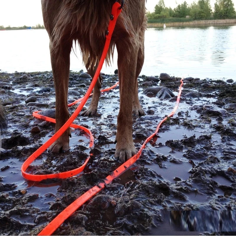 🐕 Laisse Étanche pour Chiens