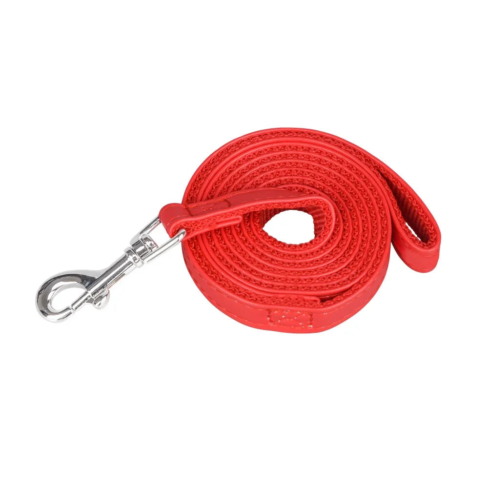 🦮 Laisse Classique pour Chiens