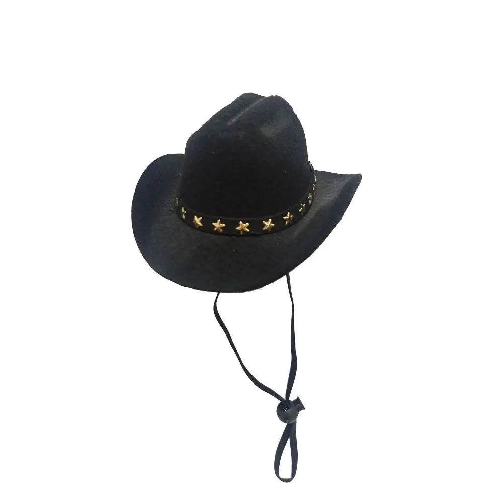 🤠 Chapeau de Cowboy pour Animaux 🐶🐱