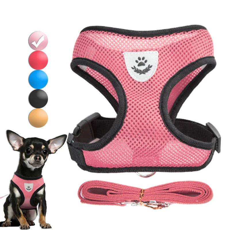 Harnais pour Chiot – Léger et Pratique 🐶✨