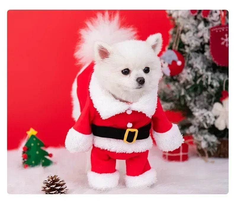 Costume Cosplay pour Chiens et Chats – Tenue de Fête 🐾🎉