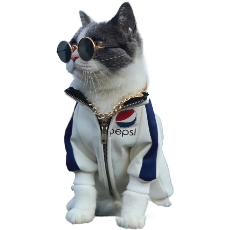😎 Lunettes de Soleil pour Chats & Chiens 🐱🐶