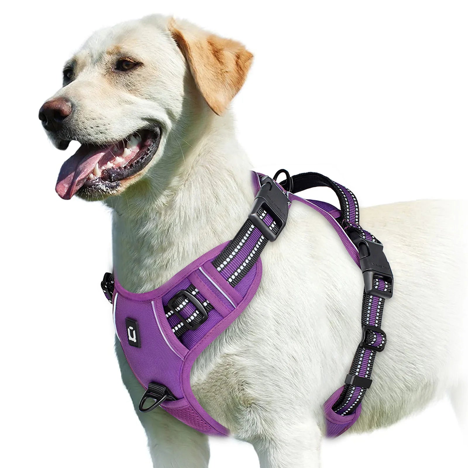 Harnais pour Chien – Sécurité et Confort 🐾