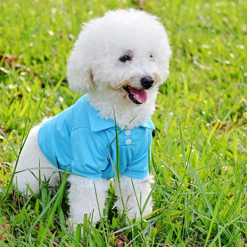 👕 Polo d’Été de Luxe pour Petits Chiens & Chats 🐶🐱