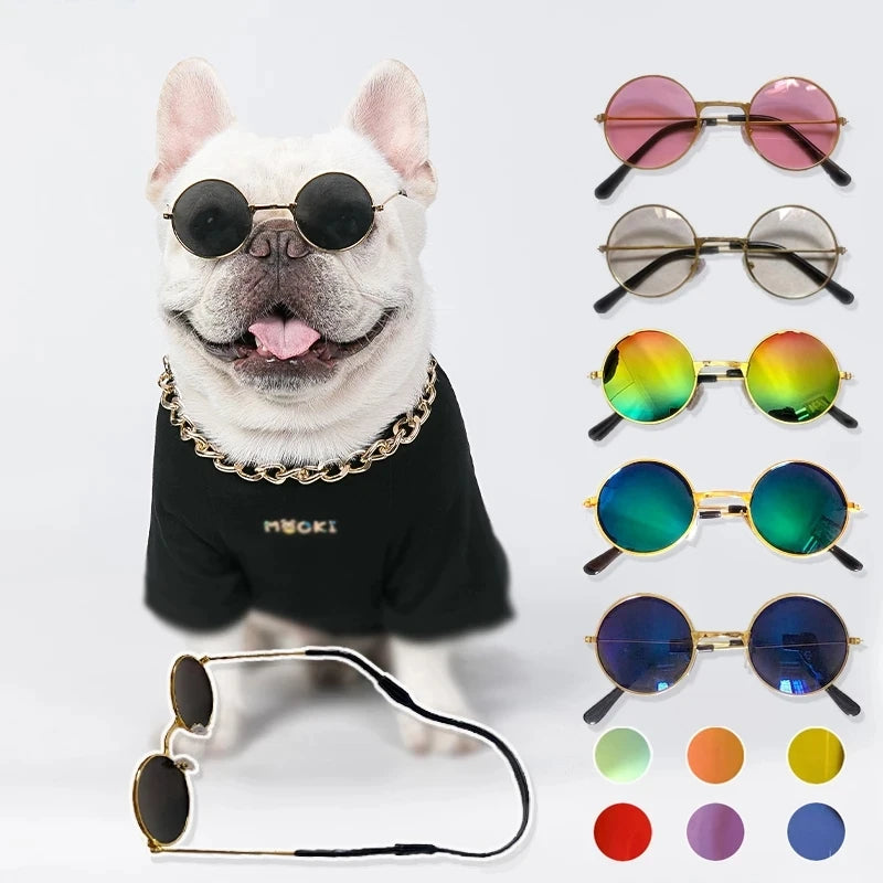 😎 Lunettes de Soleil pour Chats & Chiens 🐱🐶